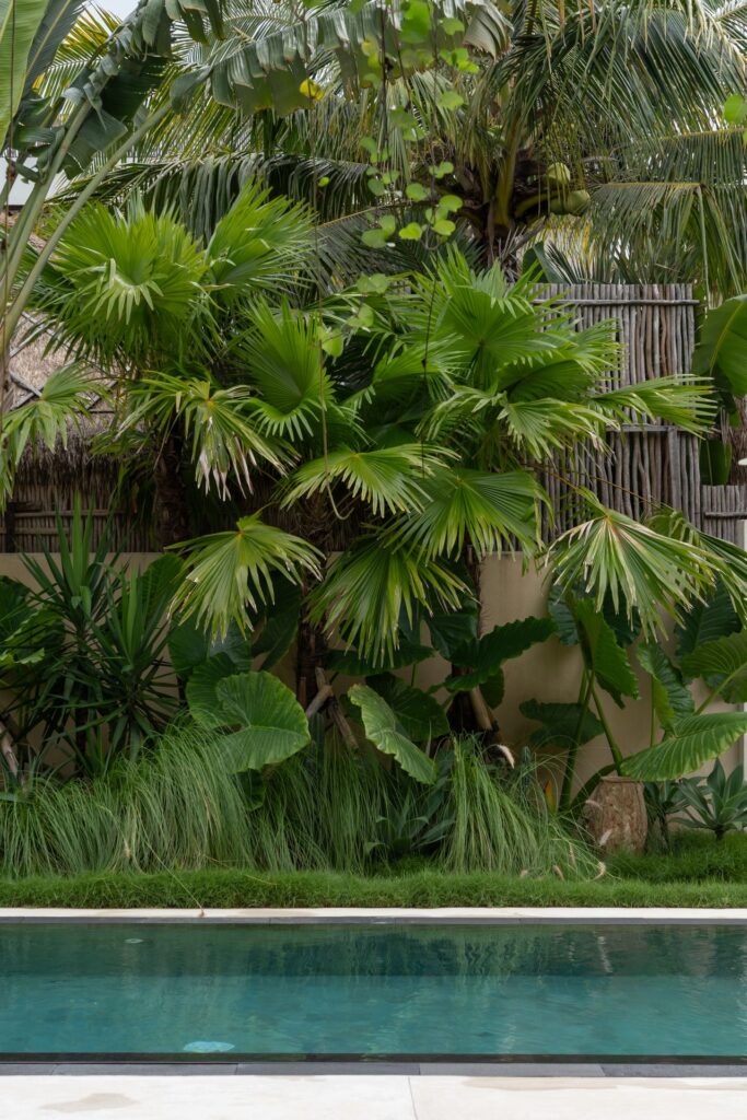 Lou Uluwatu Villa - 2